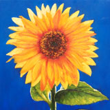 Oil Painting home decoration Montreal